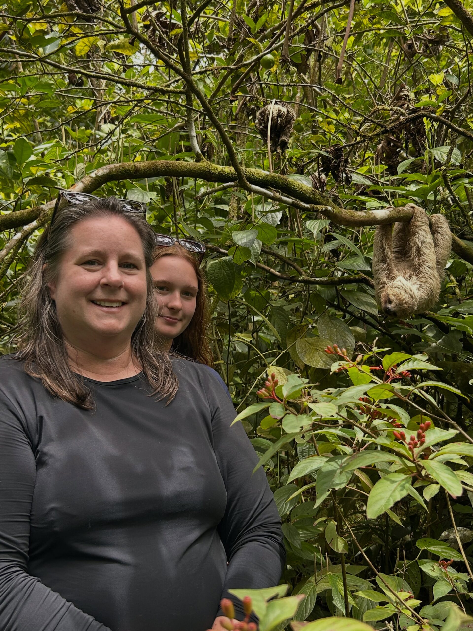Waterfall Tour Sloth Expedition lla2